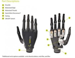 bioniczna dłoń