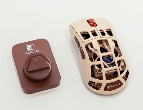 Feinmann x Noctua