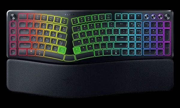 Razer Pro Type Ergo